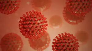 Boost Your Immune System