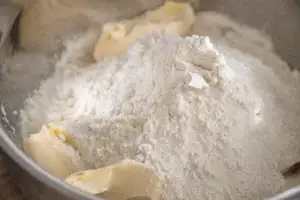Protein Powder