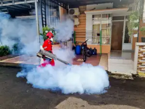 Mitigate Dengue Fever