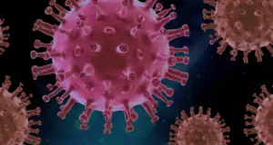 measles outbreak