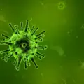 Shamonda Virus in Europe 2026: Symptoms, Spread, and Human Risk